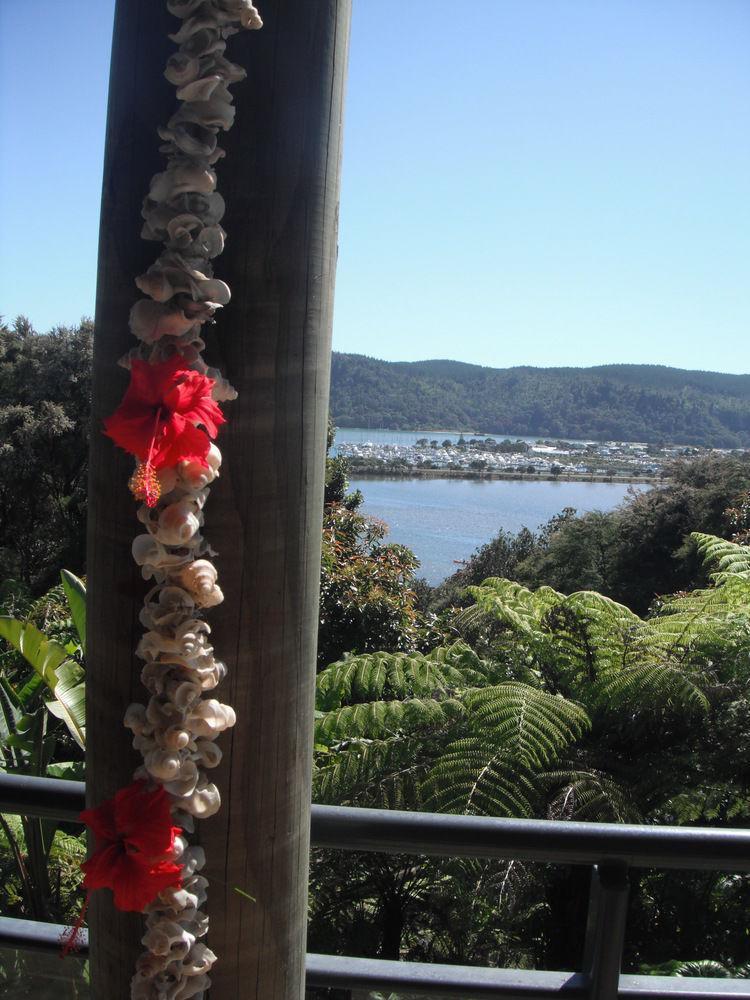 Whangamata Vistas B&B Bagian luar foto